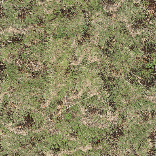 Seamless Grass