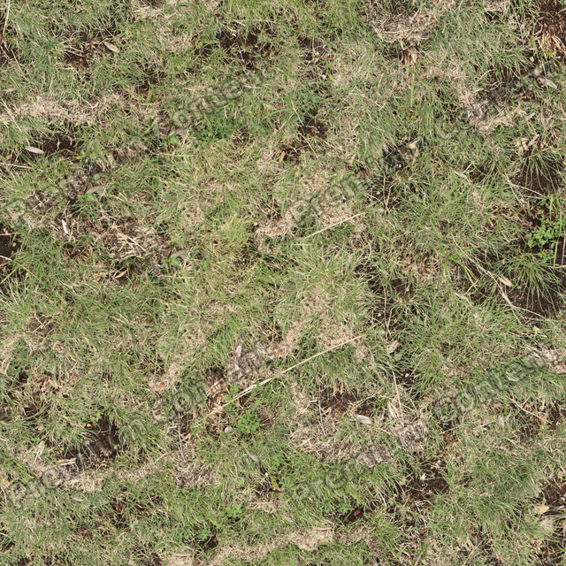 Seamless Grass