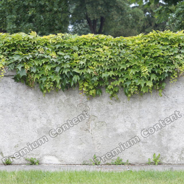 Seamless Hedge