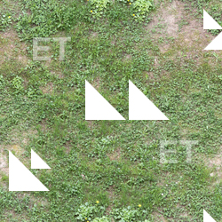 Seamless Grass