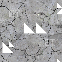 High Resolution Seamless Soil Cracked Texture 0001