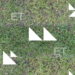 High Resolution Seamless Grass Texture 0001