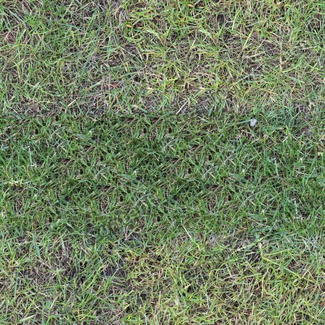 Seamless Grass