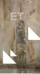 Photo Texture of Concrete Dirty 0011