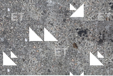 Photo Texture of Rough Concrete 0004