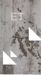 Walls Plaster Damaged