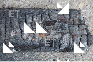 Burned Wood