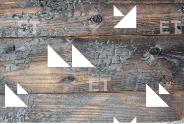 Burned Wood