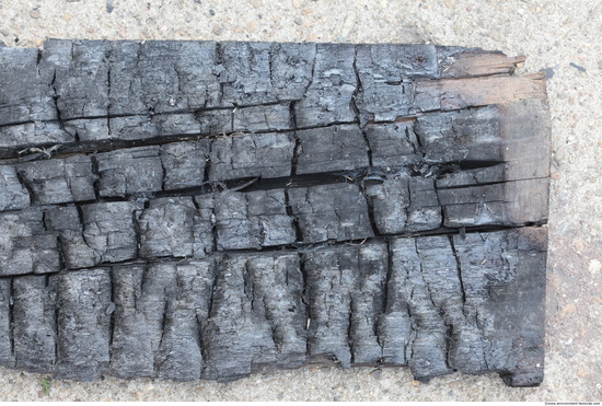 Burned Wood