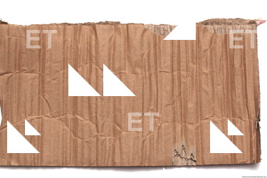 Damaged Cardboard