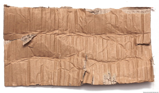 Damaged Cardboard