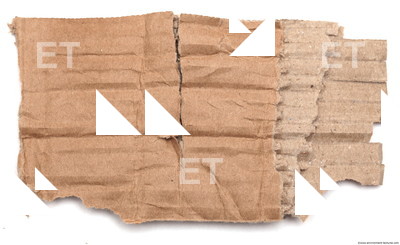 Damaged Cardboard