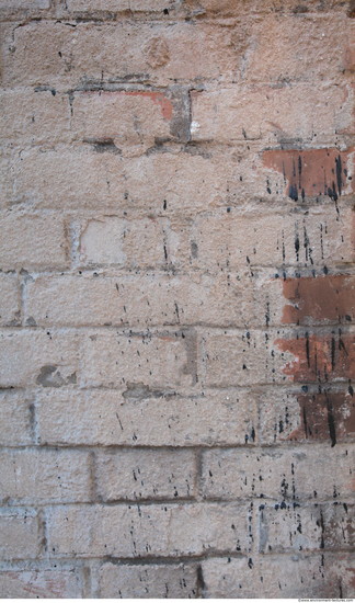 Wall Bricks Plastered