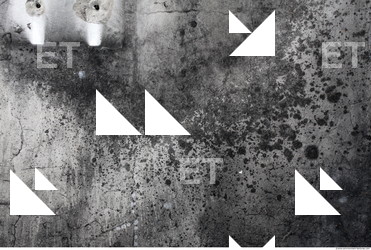 Wall Plaster Leaking