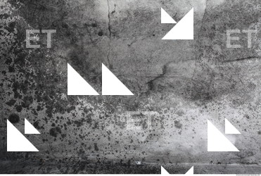 Wall Plaster Leaking