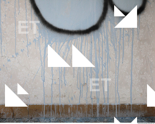 Wall Plaster Leaking