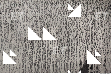 Wall Plaster Leaking