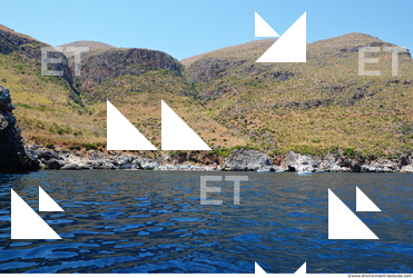 Photo Texture of Rock Grassy 0001