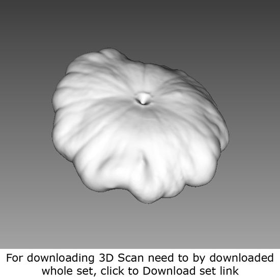 Food 3D Scan