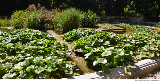 Background Gardens