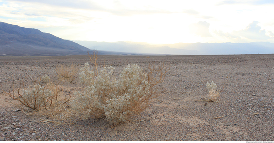 Background Deserts