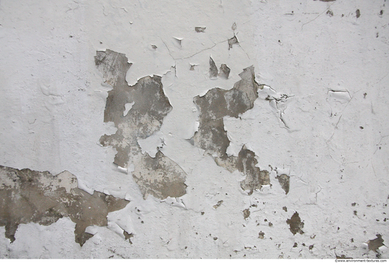 Wall Plaster Paint Peeling