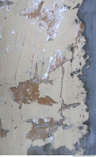 Wall Plaster Paint Peeling