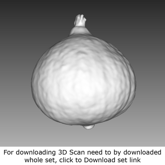 Food 3D Scan