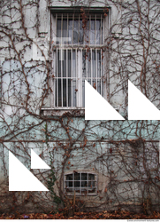 Barred Windows