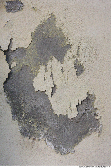 Wall Plaster Paint Peeling