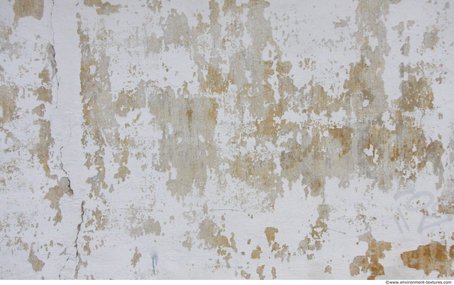 Wall Plaster Paint Peeling