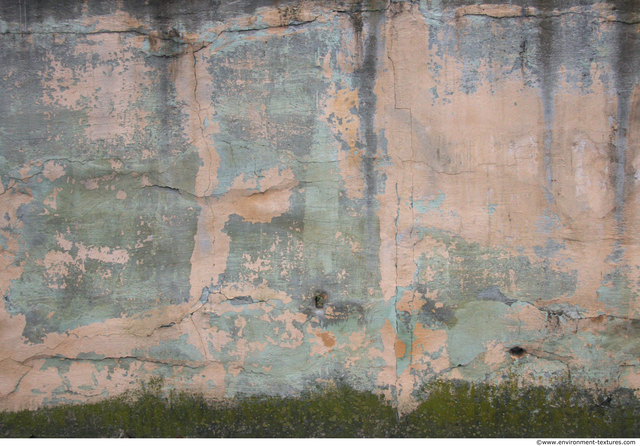 Wall Plaster Paint Peeling