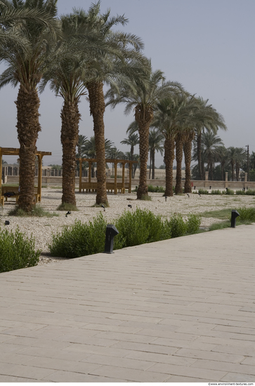 Egypt Dendera Landspace