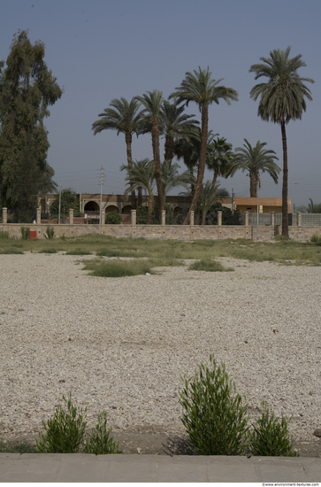 Egypt Dendera Landspace