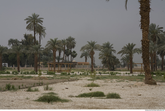 Egypt Dendera Landspace