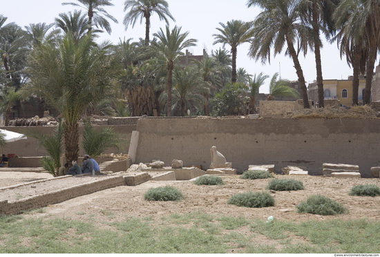 Egypt Dendera Landspace