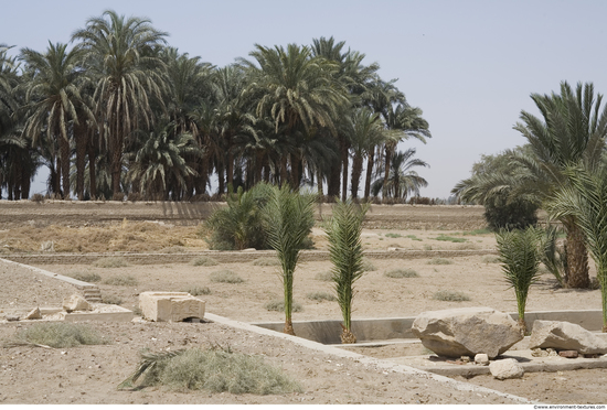 Egypt Dendera Landspace