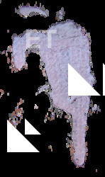 High Resolution Decal Stain Texture 0003