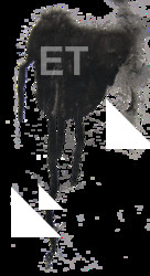 High Resolution Decal Stain Texture 0014