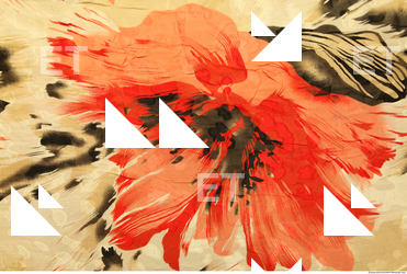 Photo Texture of Fabric Patterned 0006