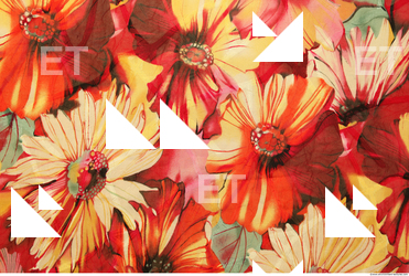 Photo Texture of Fabric Patterned 0012