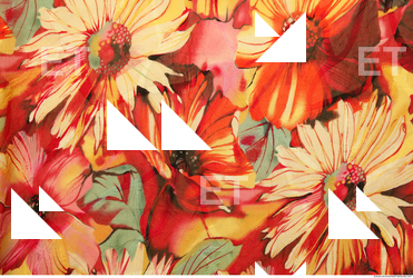 Photo Texture of Fabric Patterned 0013