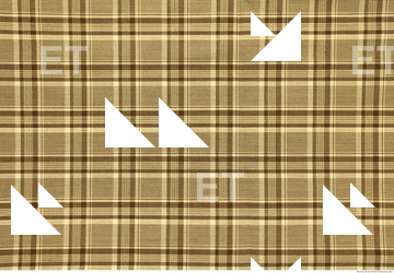 Photo Texture of Fabric Patterned 0014