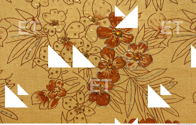 Photo Texture of Fabric Patterned 0023