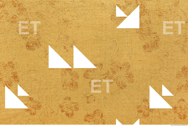 Photo Texture of Fabric Patterned 0024