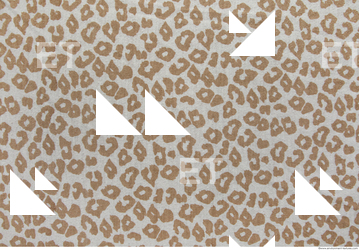 Photo Texture of Fabric Patterned 0031