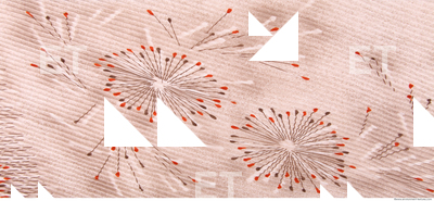 Photo Texture of Fabric Patterned 0041