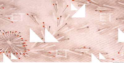 Photo Texture of Fabric Patterned 0042