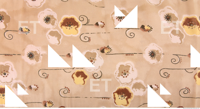 Photo Texture of Fabric Patterned 0046