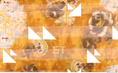 Photo Texture of Fabric Patterned 0047